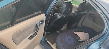 2001: Nissan Primera: 2001 г., Седан — 7