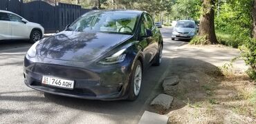 Tesla: Tesla Model Y: 2022 г., 0.1 л, Вариатор, Электромобиль, Внедорожник