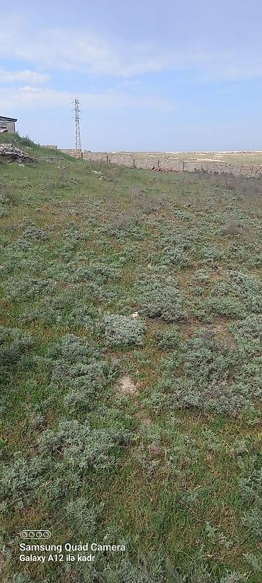 qala ev: 15 sot, Tikinti, Barter mümkündür, Bələdiyyə — 4