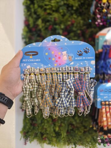 Xaltalar, qayışlar və tasmalar: Pişik və mini itlər üçün boyunbağılar. Taksilə çatdırılma xidmətimiz — 12