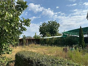 60: 465 соток, Красная книга — 8