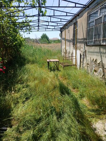 3 otaqlı evlər satış: 3 otaqlı, 85 kv. m, Kredit yoxdur, Orta təmir