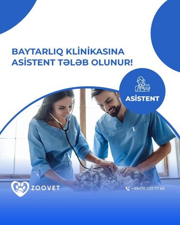 Baytarlıq klinikasına təcrübəli asistent tələb olunur. Əməkhaqqı və