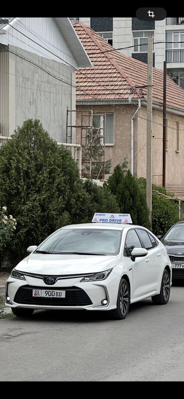 танцы для взрослых с нуля бишкек: Требуется инструкторы в автошколу