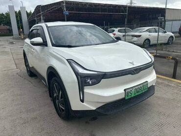 BYD: BYD : 2022 г., 0.2 л, Электромобиль, Кроссовер