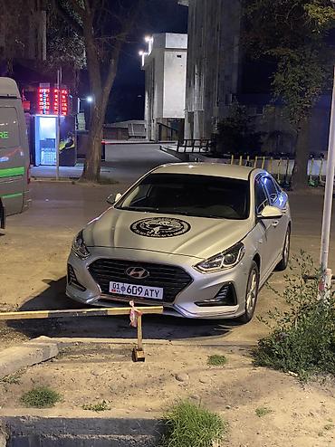 san: Hyundai Sonata: 2019 г. — 1