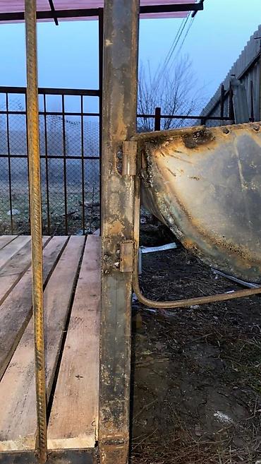 Товары и оборудование для с/х животных: Койкана койго жана козуга ылайыкташкан краскасын кылып берем 8 баш — 6