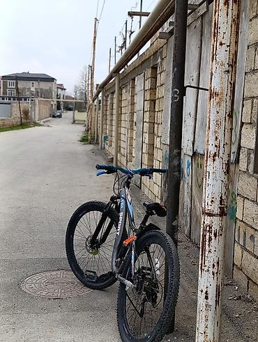 Dağ velosipedləri: Dağ velosipedi – APL Sport - Çərçivə: demir, müasir enduro/trekking — 4