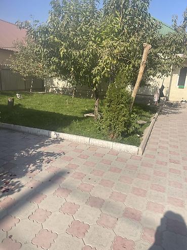 контейнер на аренду: Сдаётся 1 комнатная пристройка с отдельной кухней. Солнечная сторона — 2