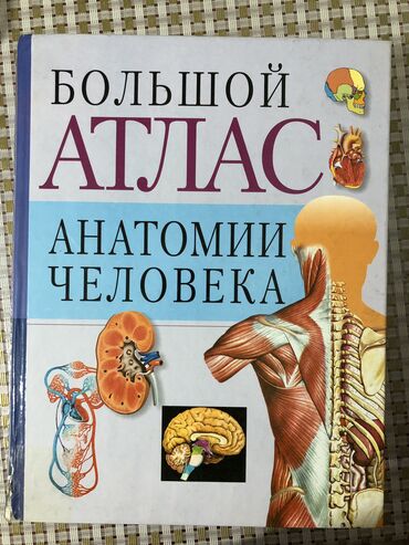dvd ram: Большой атлас анатомии человека
В.П.Воробьев