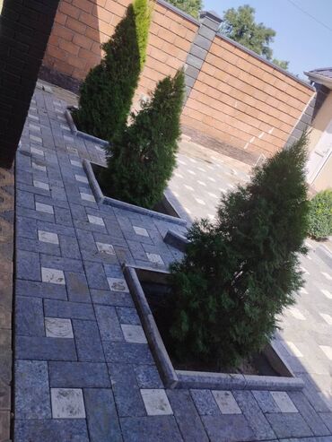 Евробрусчатка: Прессованная брусчатка высокого качества,в форме кирпича,есть все at lalafo.kg — 20 Евробрусчатка: Прессованная брусчатка высокого качества,в форме кирпича,есть все — 20