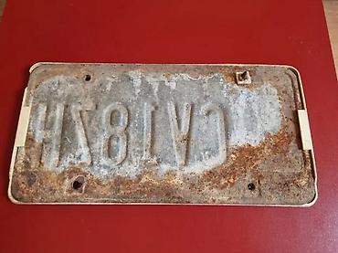 lov i ribolov u srbiji: AMERIČKA AUTO TABLICA OHIO | Autentična američka tablica — 3