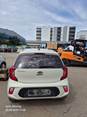 купить хонда фит в бишкеке: Kia Morning: 2019 г., 1 л, Автомат, Бензин, Хетчбек