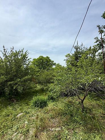Продажа дач: 🏡🔥 ПРОДАЁТСЯ ДАЧА В ТАШ-МОЙНОКЕ! ДТ: «Мичуринец» 🌿 💥 Участок — 6 — 9