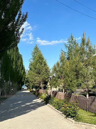 Аренда коттеджей и домов на Иссык-Куле: Коттедж, Dordoi Resorts, Кош-Кол, 8+ мест — 10