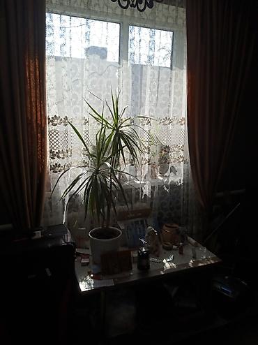 Продажа квартир: 5 и более комнат, 80 м², 1 этаж, Косметический ремонт at lalafo.kg — 2 Продажа квартир: 5 и более комнат, 80 м², 1 этаж, Косметический ремонт — 2