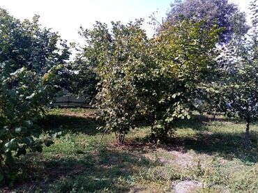 Torpaq sahələrinin satışı: 10 sot -da lalafo.az — 8 Torpaq sahələrinin satışı: 10 sot — 8