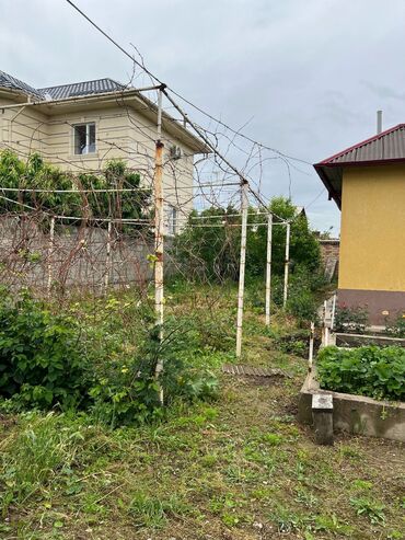 Продажа участков: 10 соток, Красная книга — 3