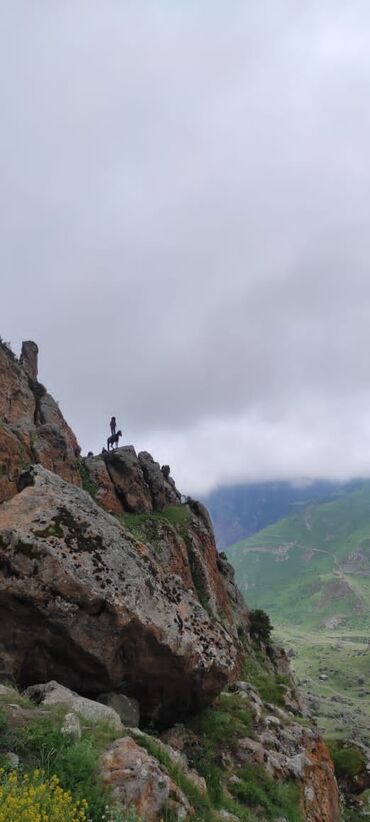 электронная фоторамка: Мобилдик тиркемелер, Instagram, Facebook, Дизайнды иштеп чыгуу