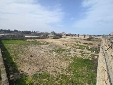 Torpaq sahələrinin satışı: 25 sot, Tikinti, Mülkiyyətçi, Kupça (Çıxarış) -da lalafo.az — 16 Torpaq sahələrinin satışı: 25 sot, Tikinti, Mülkiyyətçi, Kupça (Çıxarış) — 16