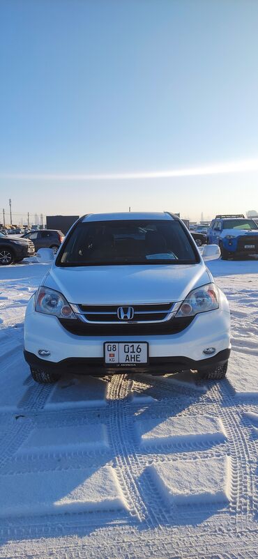 срв 1997: Honda CR-V: 2009 г., 2.4 л, Автомат, Бензин, Кроссовер