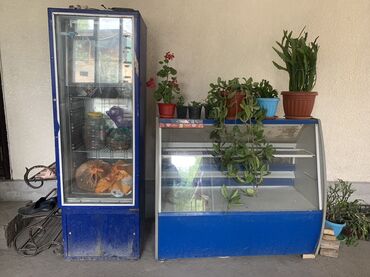 Холодильные витрины: Для напитков
