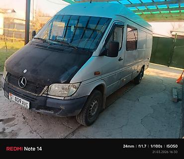 Mercedes-Benz: Mercedes-Benz Спринтер: 2004 г., Фургон — 1