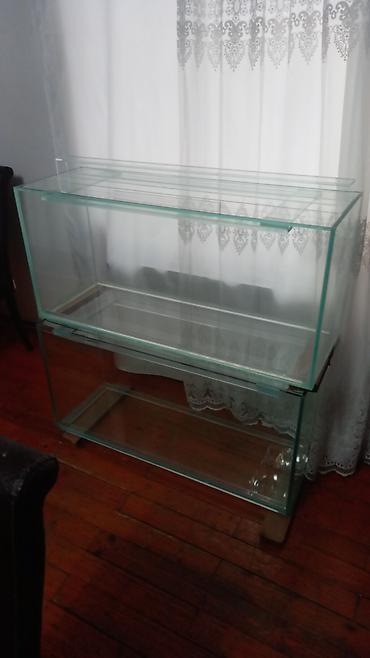 akvarium az: Salam istənilən ölçüdə akvarium ən azı 30 litrdən yuxarı münasib — 6