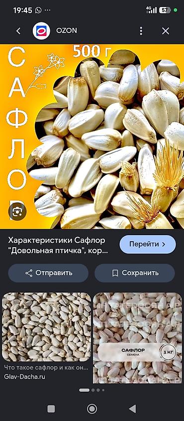 В наличии 17 тонна кг 35с. - Корм для декоративных и певчих птиц