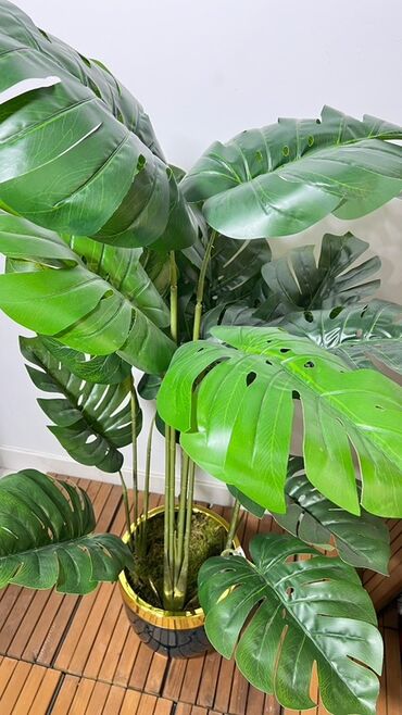 Süni güllər: Dekorativ süni ağaclar dəsti - Model 1: Varlıqlı yarpaqlı dekorativ — 4