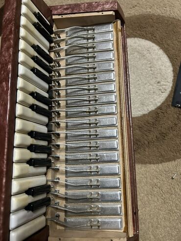 Akkordeonlar: Akustik Akkordeon — 8