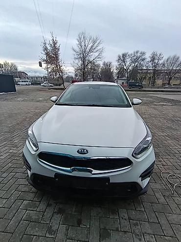 Kia: Kia K3: 2020 г., 1.6 л, Автомат, Бензин, Седан — 7