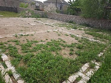 Torpaq sahələrinin satışı: 4 sot, Tikinti, Mülkiyyətçi — 10