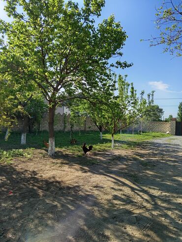 Həyət evləri və villaların satışı: 8 otaq, 36 kv. m, Yeni təmirli — 4