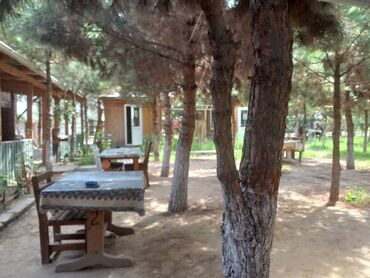 Avtobiznes, servis xidmətləri: Ofisiant tələb olunur, Kafe, Gündəlik ödəniş, İstənilən yaş, Təcrübəsiz