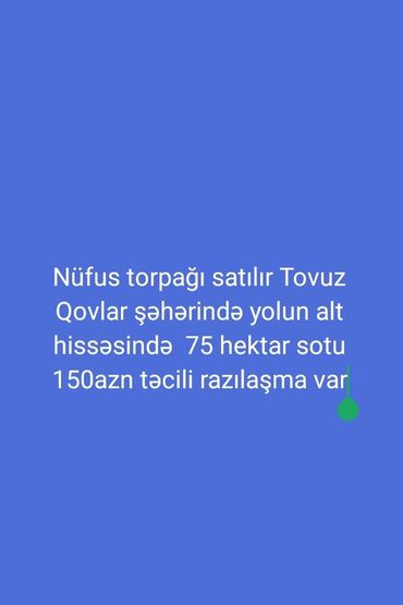 75 sot, Kənd təsərrüfatı, Maklerlər narahat etməsin, Kupça (Çıxarış)