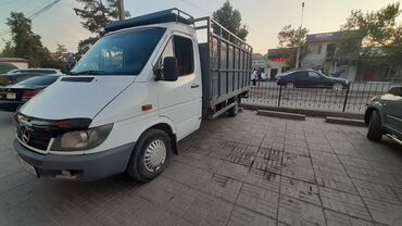 процентке акча берилет бишкектен: Грузоперевозки г.Кара Балта
по городу без грушика 700сом