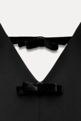 Jurnallar: Zara etiketli teze don — 31