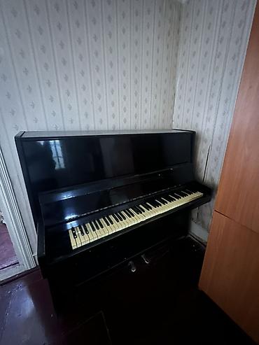 pion: Ağac korpuslu, qara rəngli akustik şaquli piano. - Tam ölçülü — 1