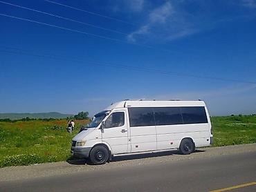 Такси: Автобус заказ — 12