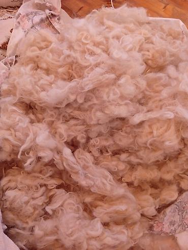 merinos qoyunu: Məhsul: Təbii qoyun yunu didilmiş yuyulmuş və işlənməmiş Təsvir: - — 2