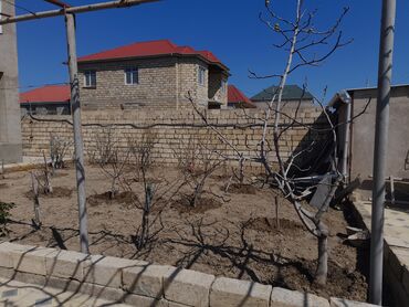 Həyət evləri və villaların satışı: 5 otaqlı, 240 kv. m, Orta təmir — 4