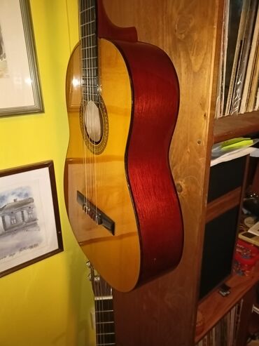 Gitare: Castillo classical guitar model cg365 — 7