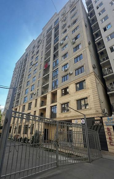 gala group: 1 комната, 41 м², Молодая Гвардия Элитка, 10 этаж, Евроремонт — 1