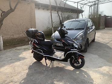 Скутеры: Скутер Skillmax, черный, с богатым комплектом освещения и туристским — 2