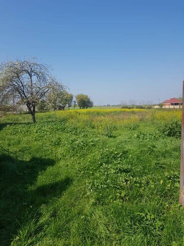 sarayda heyet evleri 2022: 5 otaqlı, 251 kv. m, Kredit yoxdur, Təmirsiz