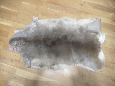 Yun: Təqdim olunan tebii ceyran dərisi əsasən açıq qəhvəyi və boz — 9