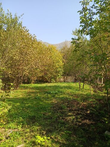 Torpaq sahələrinin satışı: 10 sot, Tikinti, Barter mümkündür, Kupça (Çıxarış) -da lalafo.az — 8 Torpaq sahələrinin satışı: 10 sot, Tikinti, Barter mümkündür, Kupça (Çıxarış) — 8