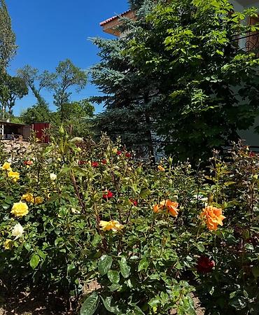отель бишкеке: 🏡 Гостевой дом «Айсанат» — отдых на Иссык-Куле по доступной цене! 📍 — 2