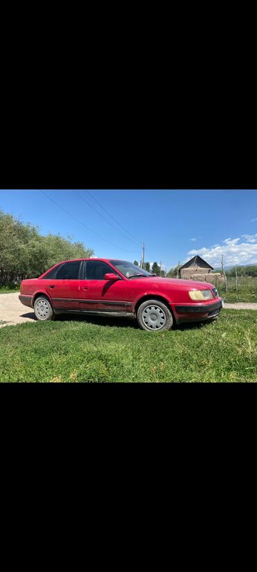 Audi: Audi 100: 1993 г., 2.3 л, Механика, Бензин, Седан